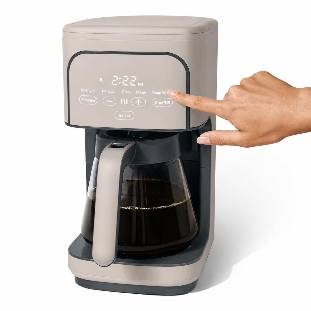 12 Cup Programmable Coffee Maker T344384