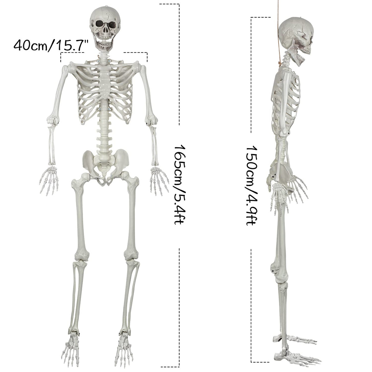 5.4ft Posable Life Size Skeleton Bones with Movable Joints H314926
