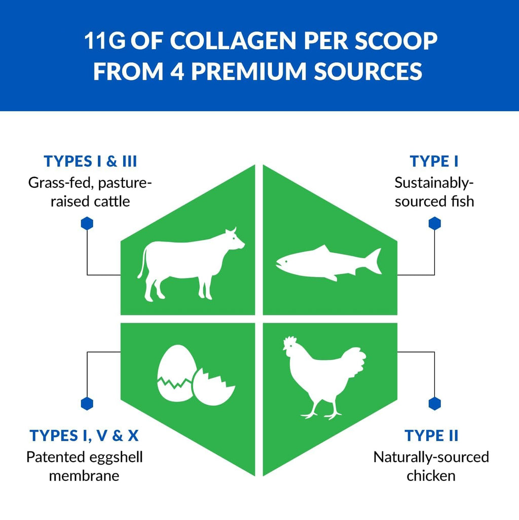 Unflavored Hydrolyzed Grass Fed Collagen Peptides Powder M284