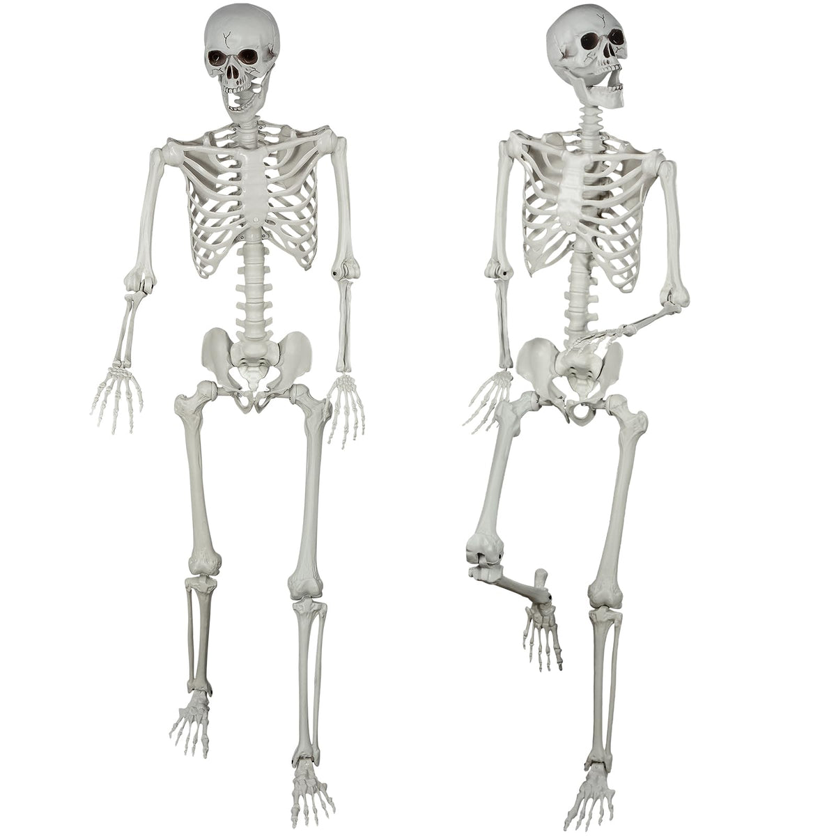 5.4ft Posable Life Size Skeleton Bones with Movable Joints H314926