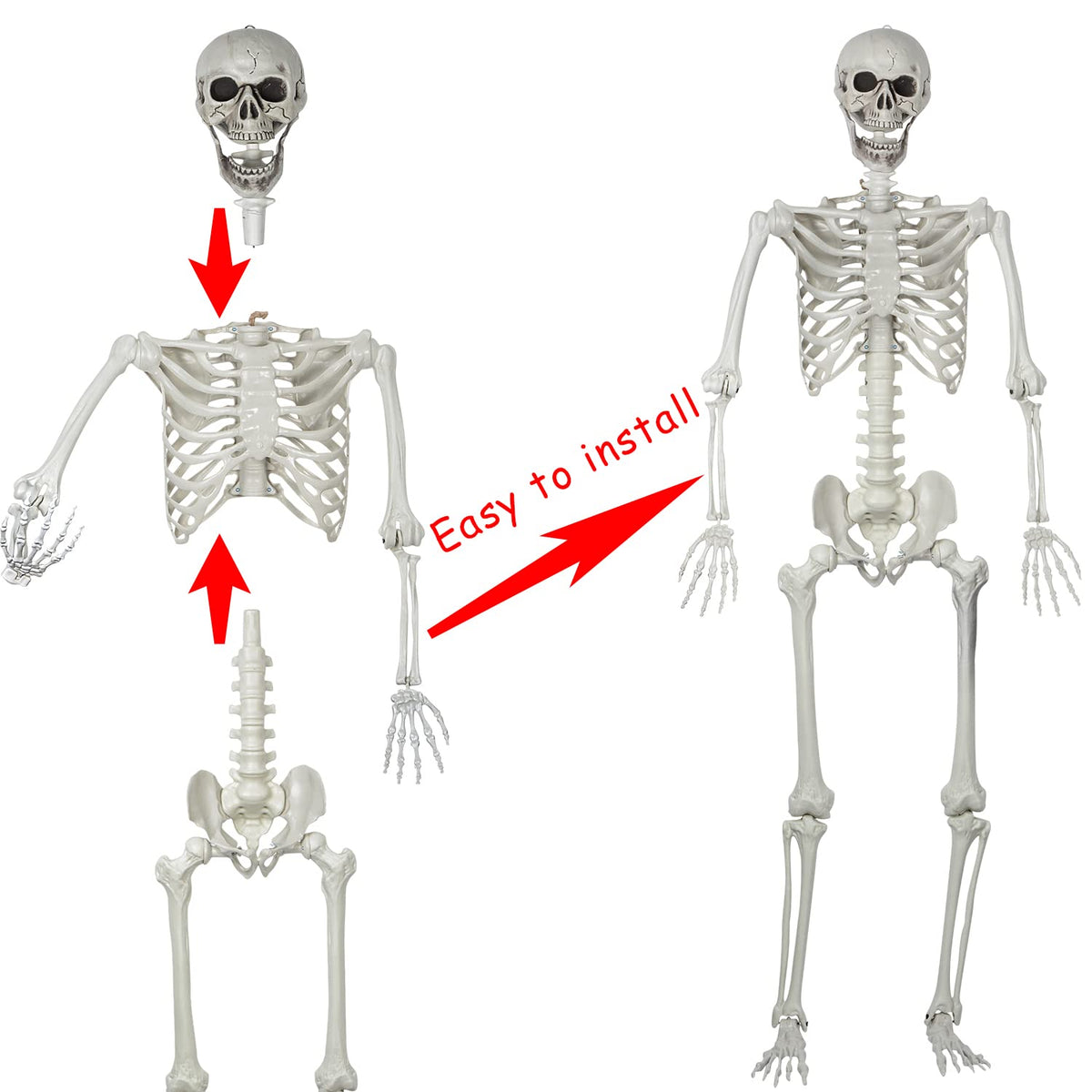 5.4ft Posable Life Size Skeleton Bones with Movable Joints H314926
