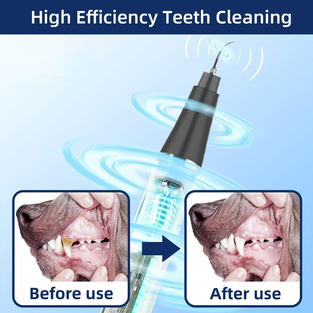 Ultrasonic Pet Plaque Remover with LED Light Z79466