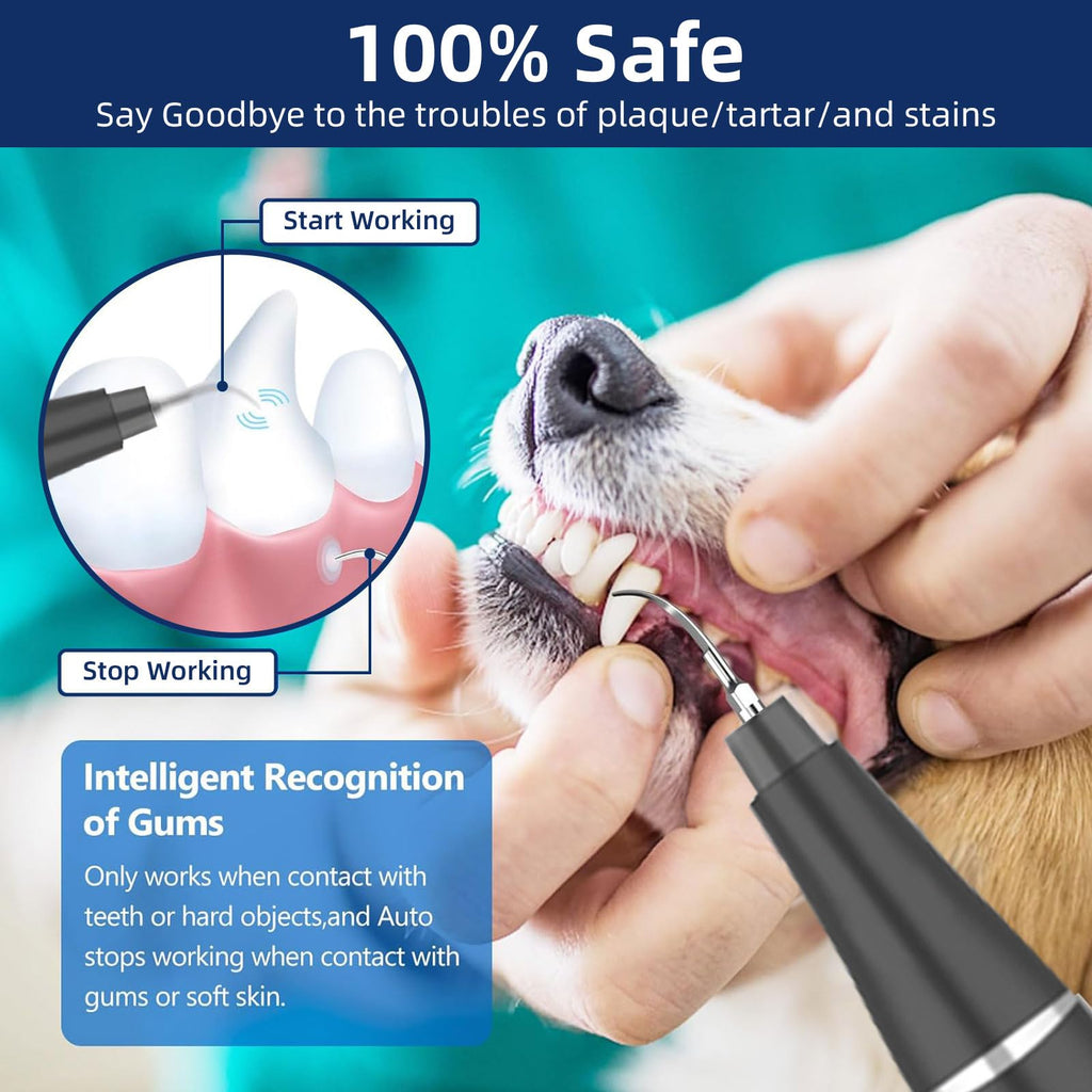 Ultrasonic Pet Plaque Remover with LED Light Z79466