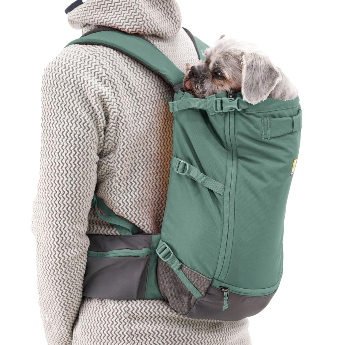 Dog Backpack Carrier R3670