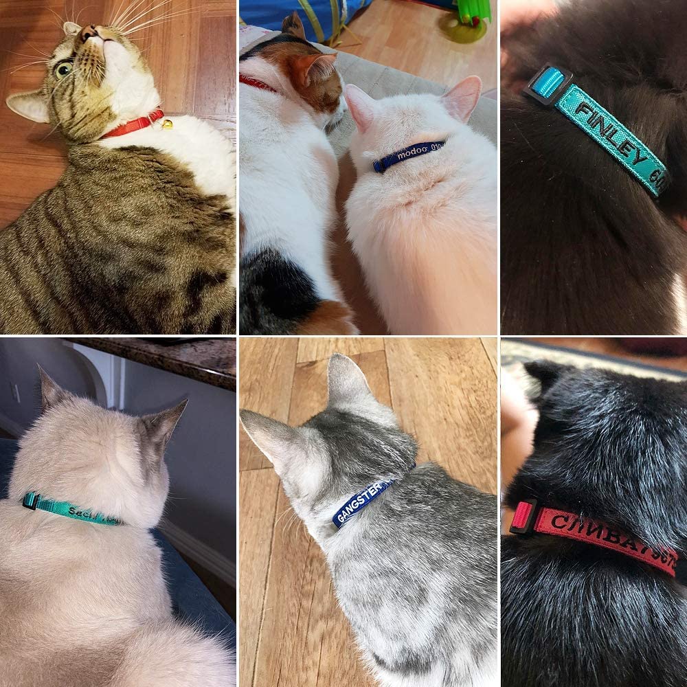 Nylon Cat Collar Breakaway with Bell U143