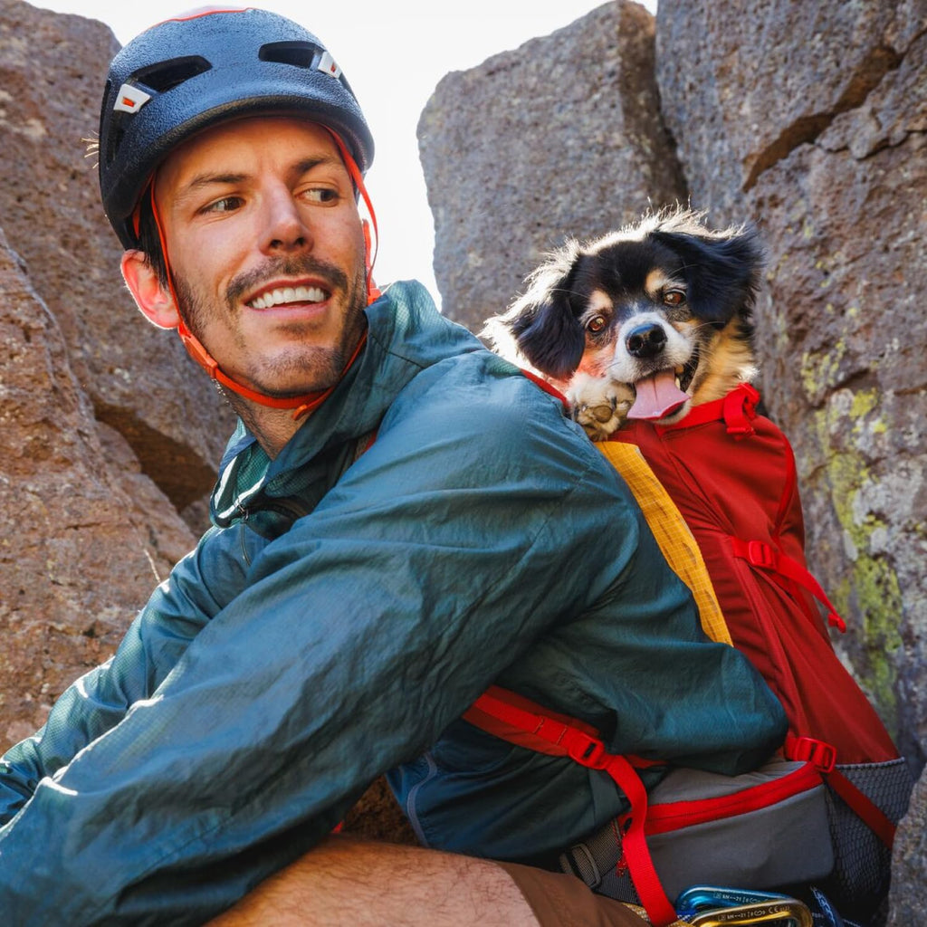 Dog Backpack Carrier R3670