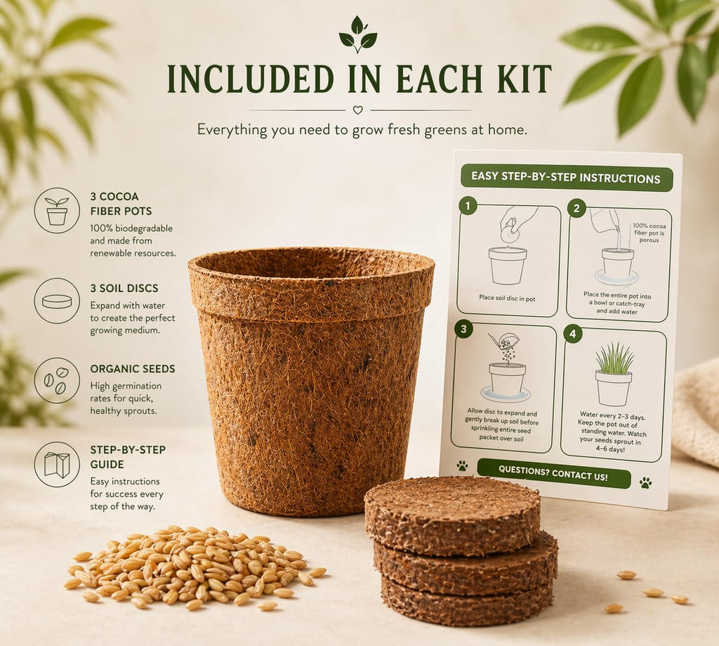 Organic Cat Grass Growing Kit 3 Pack with Soil Discs Coco Fiber Pots and Seeds B952994