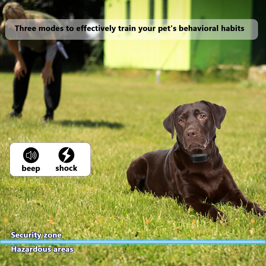 In-Ground Electric Dog Fence System with 2 Collars Y659