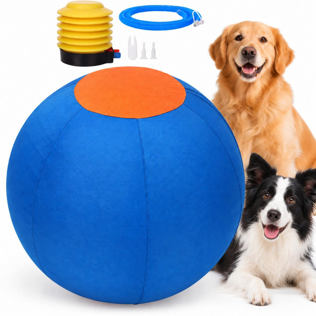 Large Interactive Dog Toy T825657