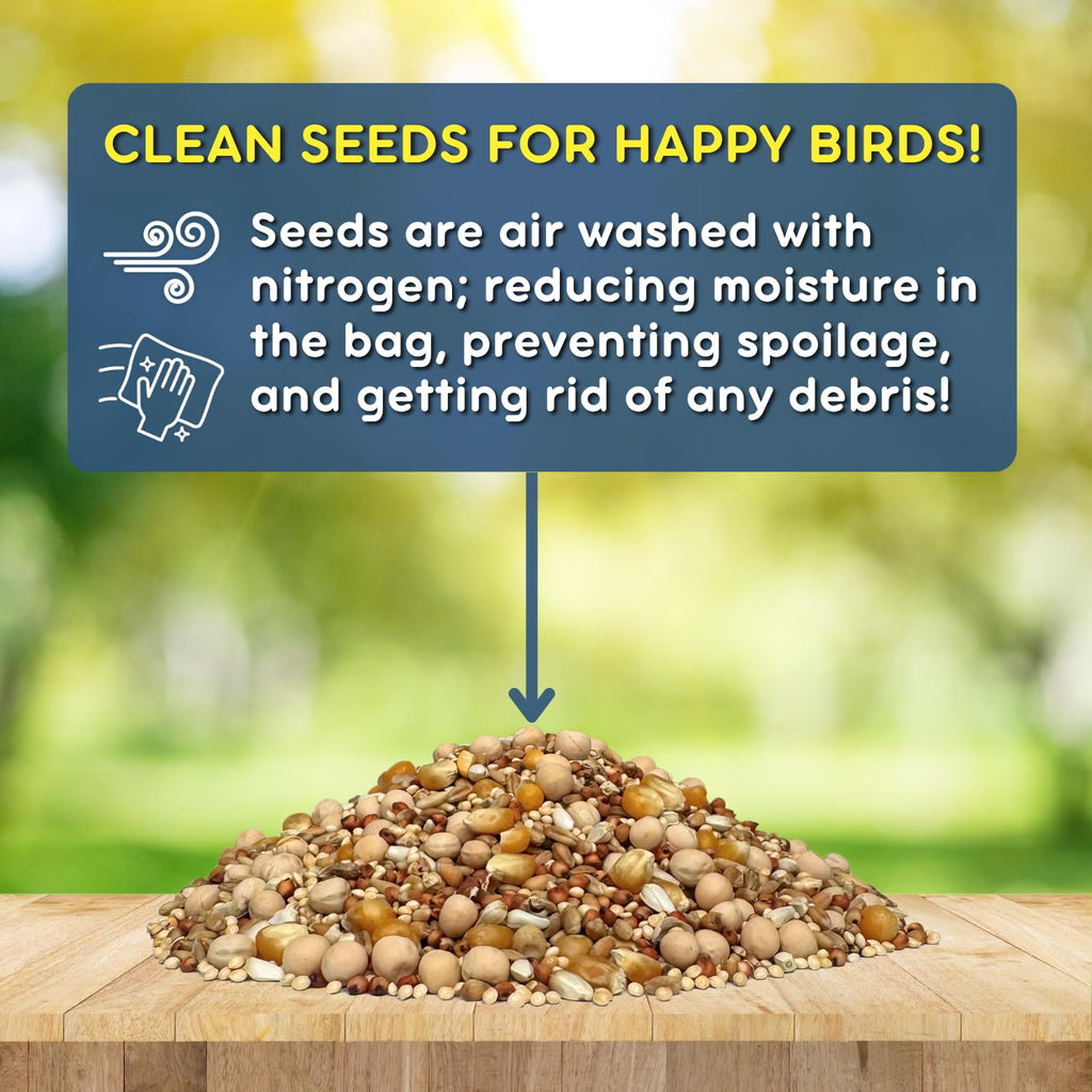 Dove Bird Seed 20 Pound X137596