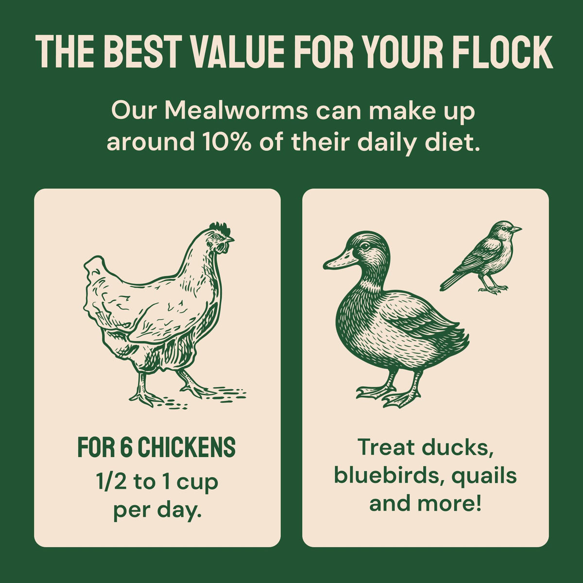 20lb Dried Mealworms Chicken Feed C183
