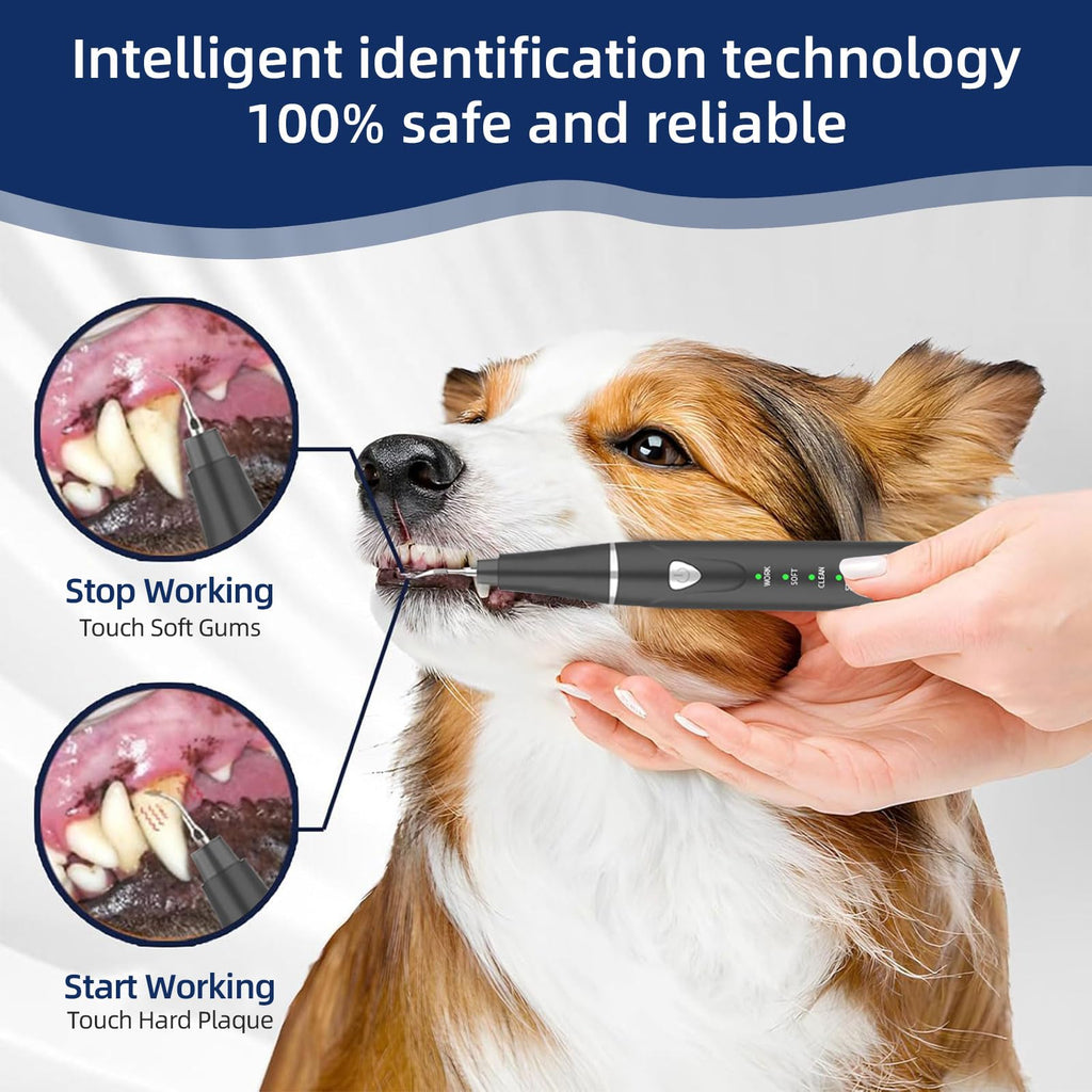 Ultrasonic Pet Plaque Remover with LED Light Z79466