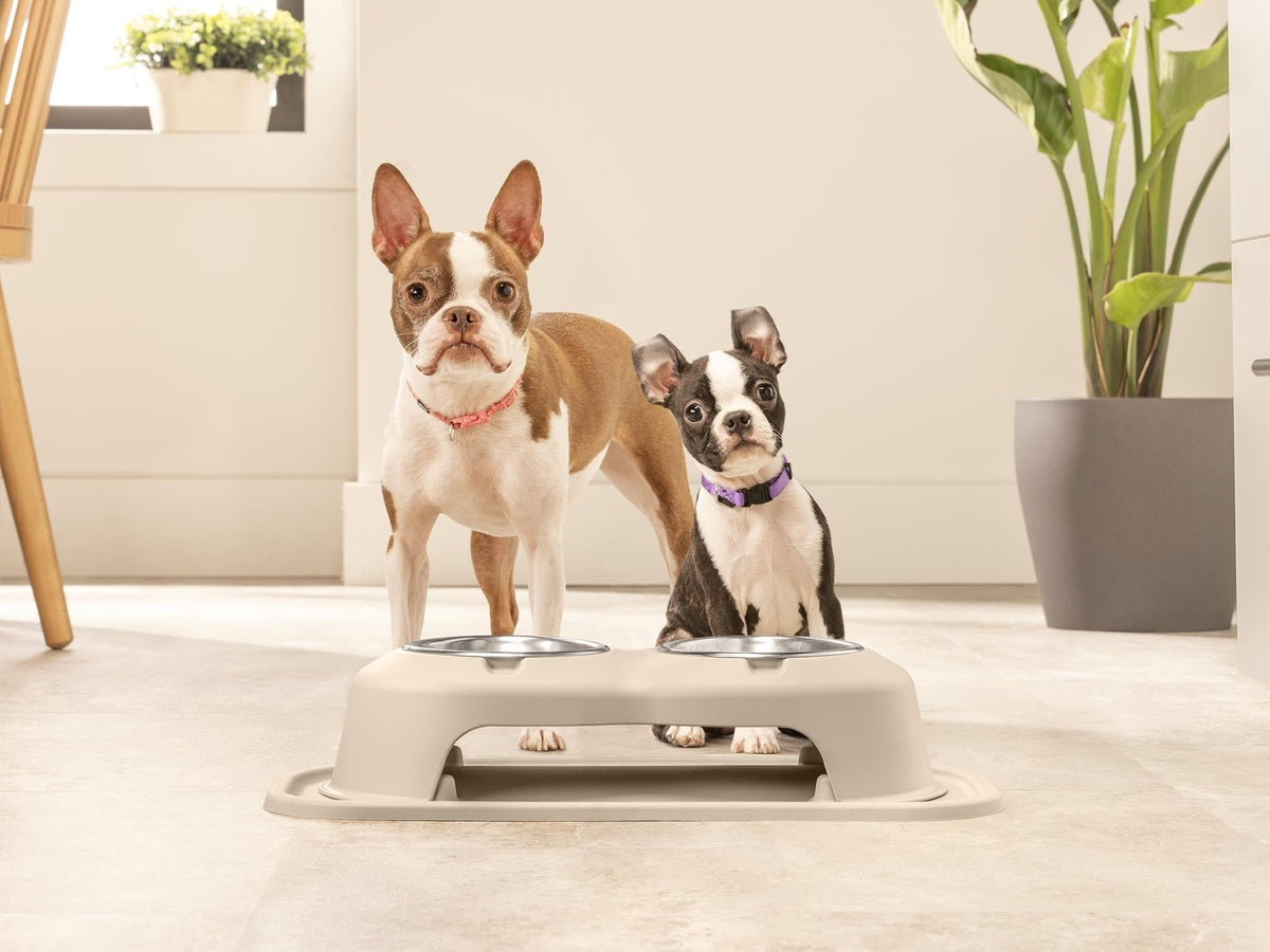 Elevated Dog/Cat Bowls 8oz Stainless Steel Y193