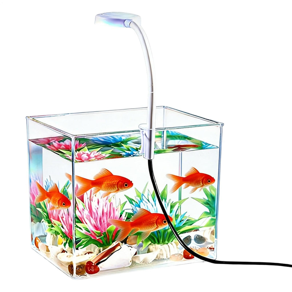 Small Aquarium with LED Lights S2538