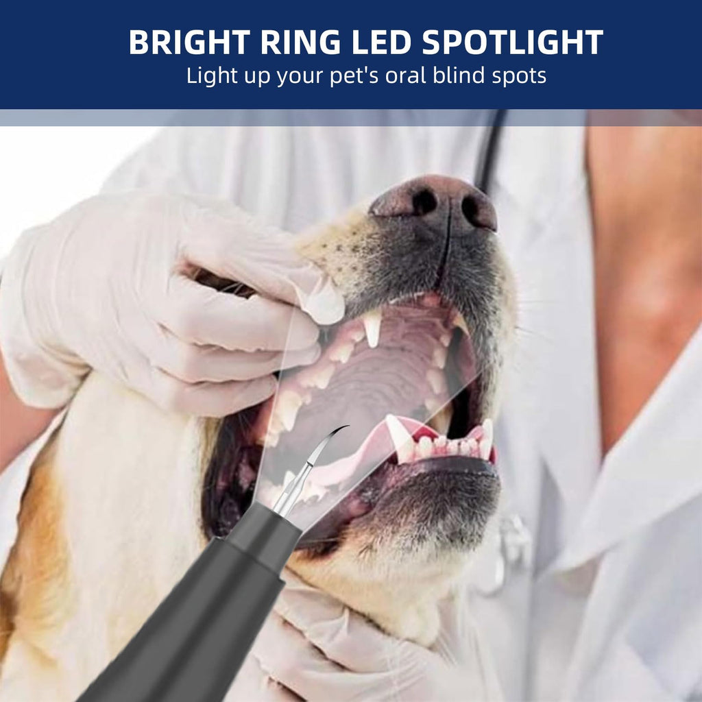 Ultrasonic Pet Plaque Remover with LED Light Z79466