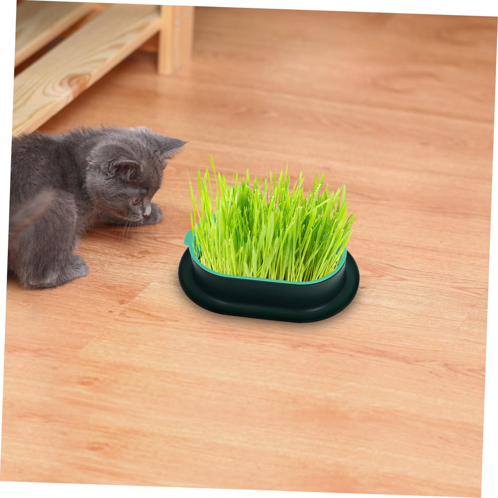 3 Pack Plastic Cat Grass Planter Boxes P45235