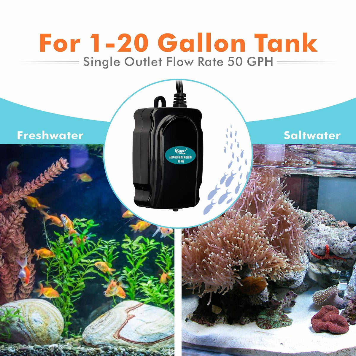 Mini Aquarium Air Pump Kit 1W for 2-20 Gallon Fish Tank with Air Tube T312