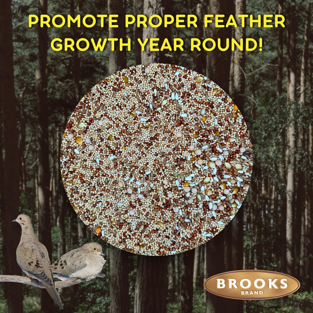 Dove Bird Seed 20 Pound X137596