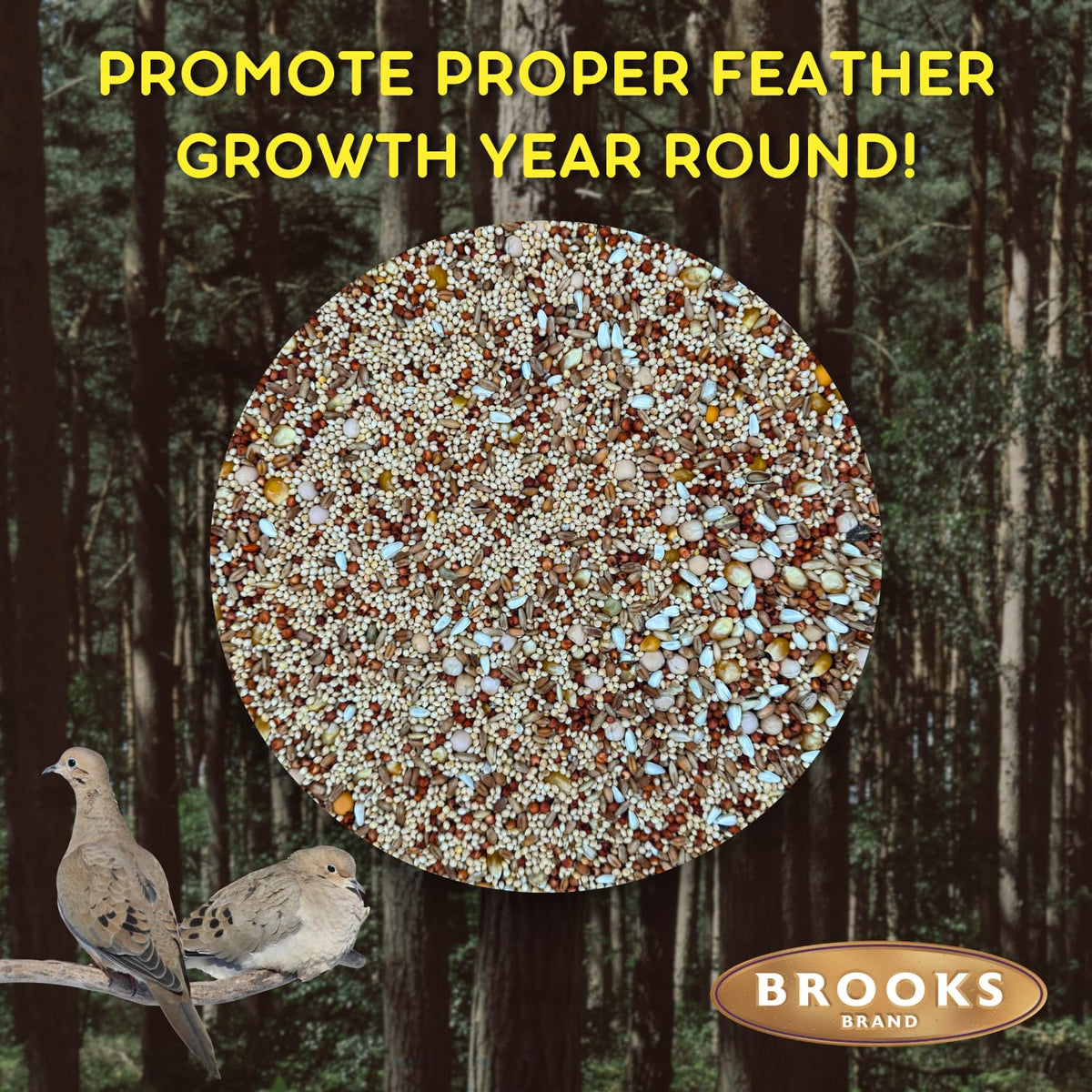 Dove Bird Seed 20 Pound X137596