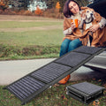 Folding Dog Ramp for Cars, 63"x17" Non-Slip Portable Pet Ramp T6037