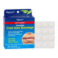 Cold Sore Healing Patches, 12 Bandages F7579