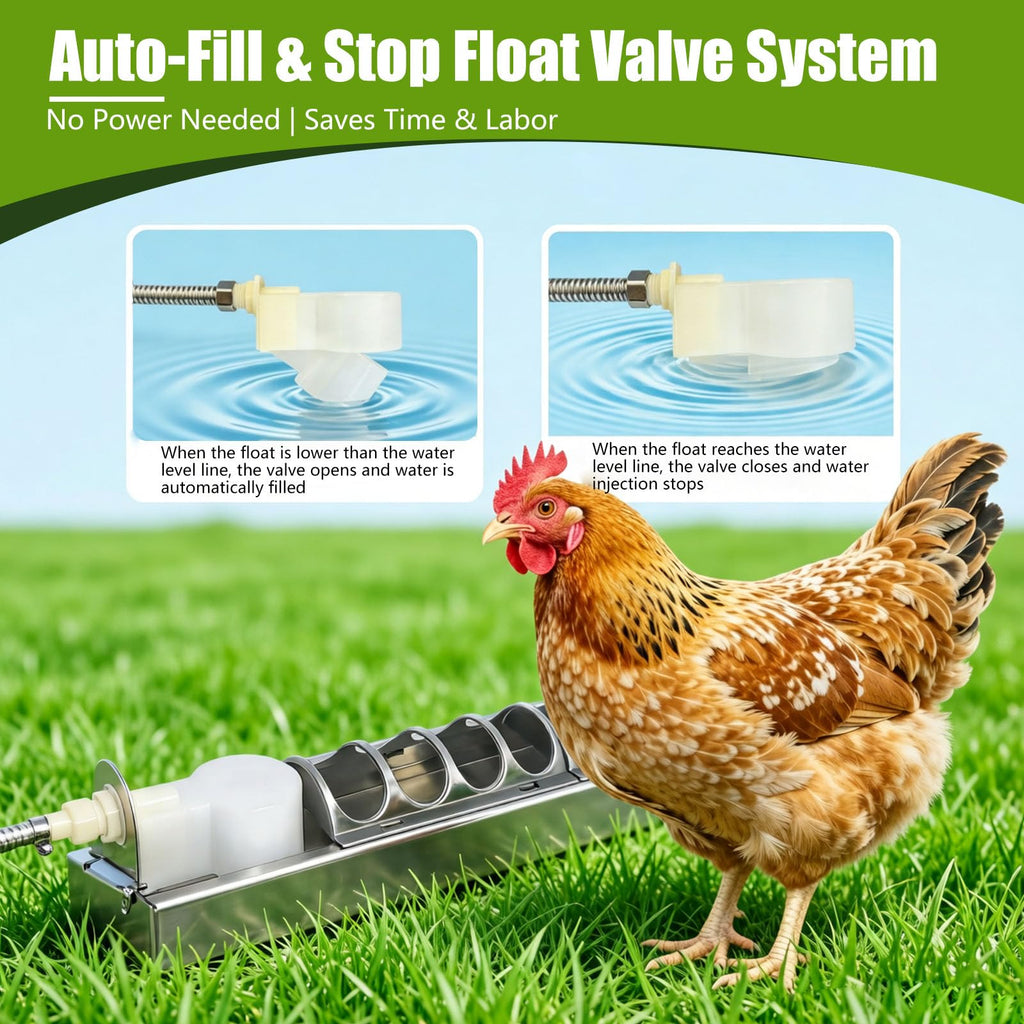 Automatic Stainless Steel Poultry Waterer K62071