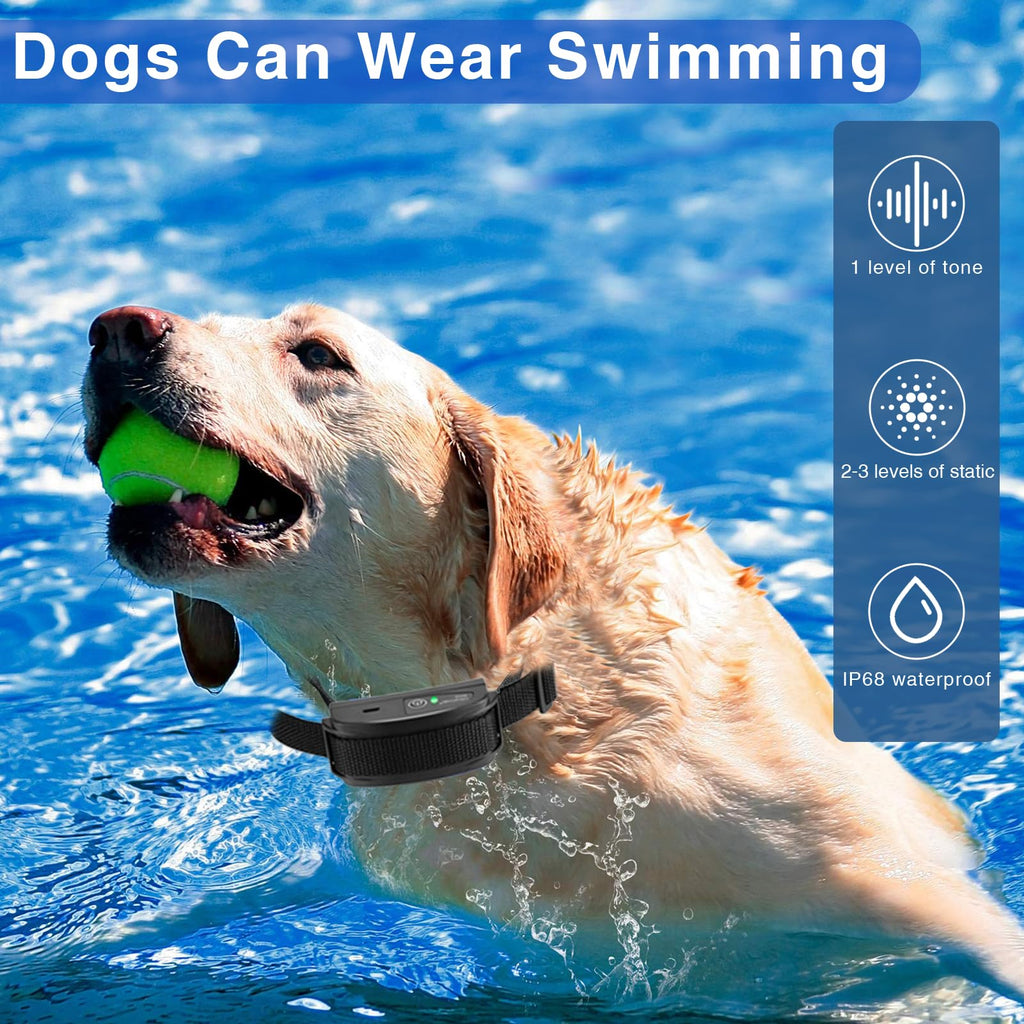 In-Ground Electric Dog Fence System with 2 Collars Y659