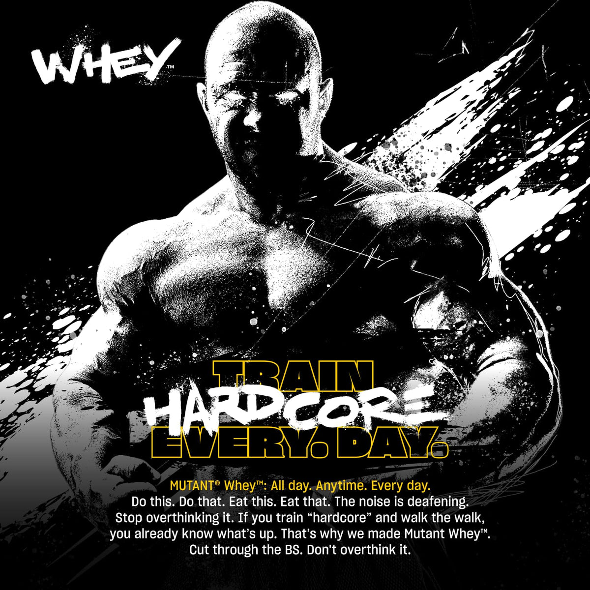 Whey Protein Powder Triple Chocolate 5 lb Q884425