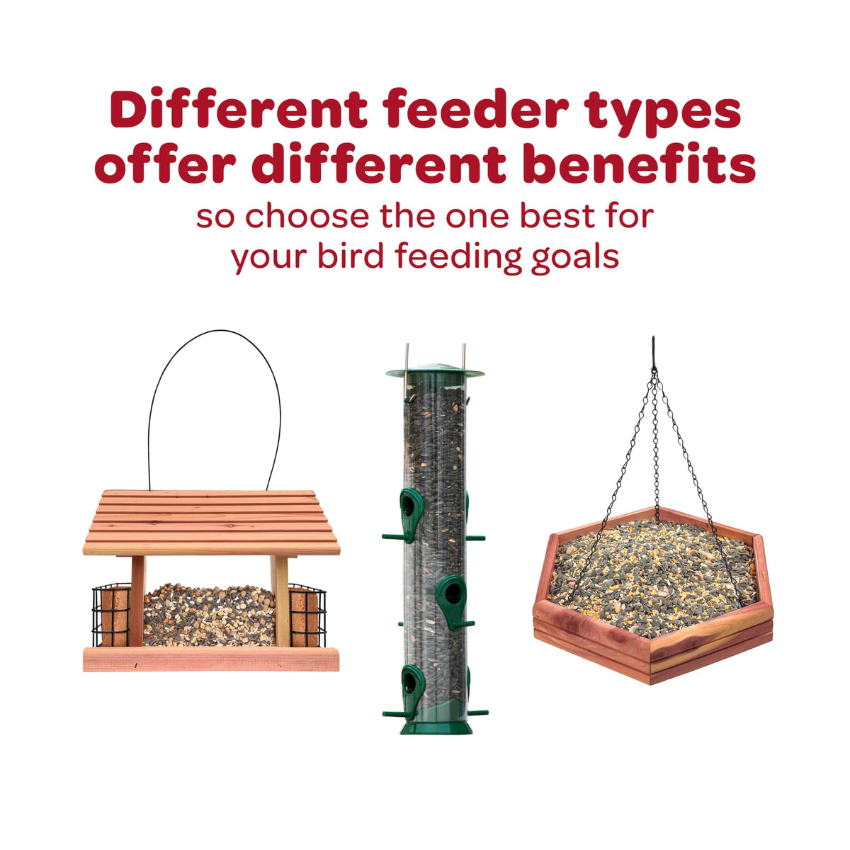 Nyjer Seed for Finches & Other Wild Birds, 20 Pounds T1967