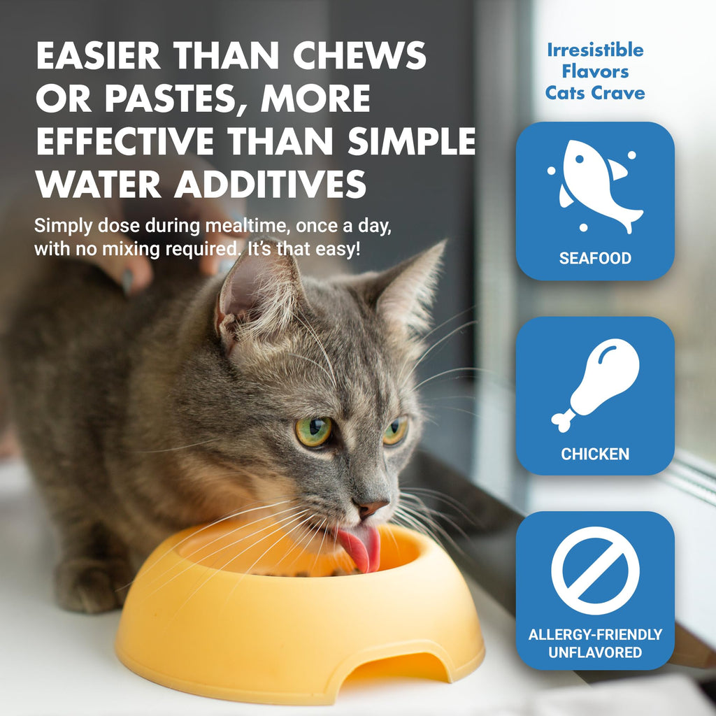 Cat Teeth Cleaning Dental Care Z9419