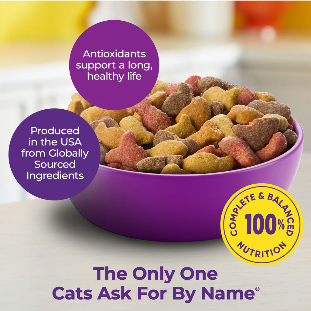 Dry Cat Food 6.3 Pound Bag + Wet Cat Food Variety Pack 2.75 Ounce Cups J62961