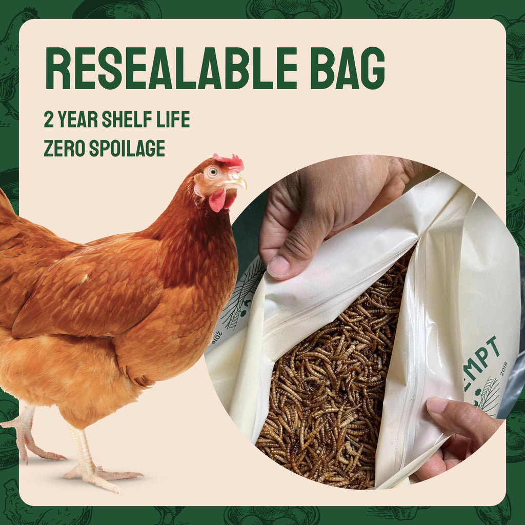 20lb Dried Mealworms Chicken Feed C183