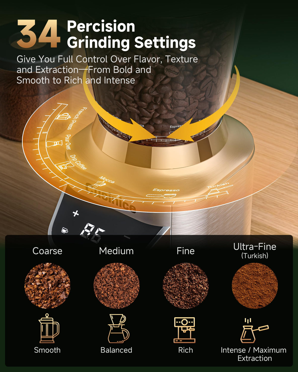 Conical Burr Coffee Grinder C43771