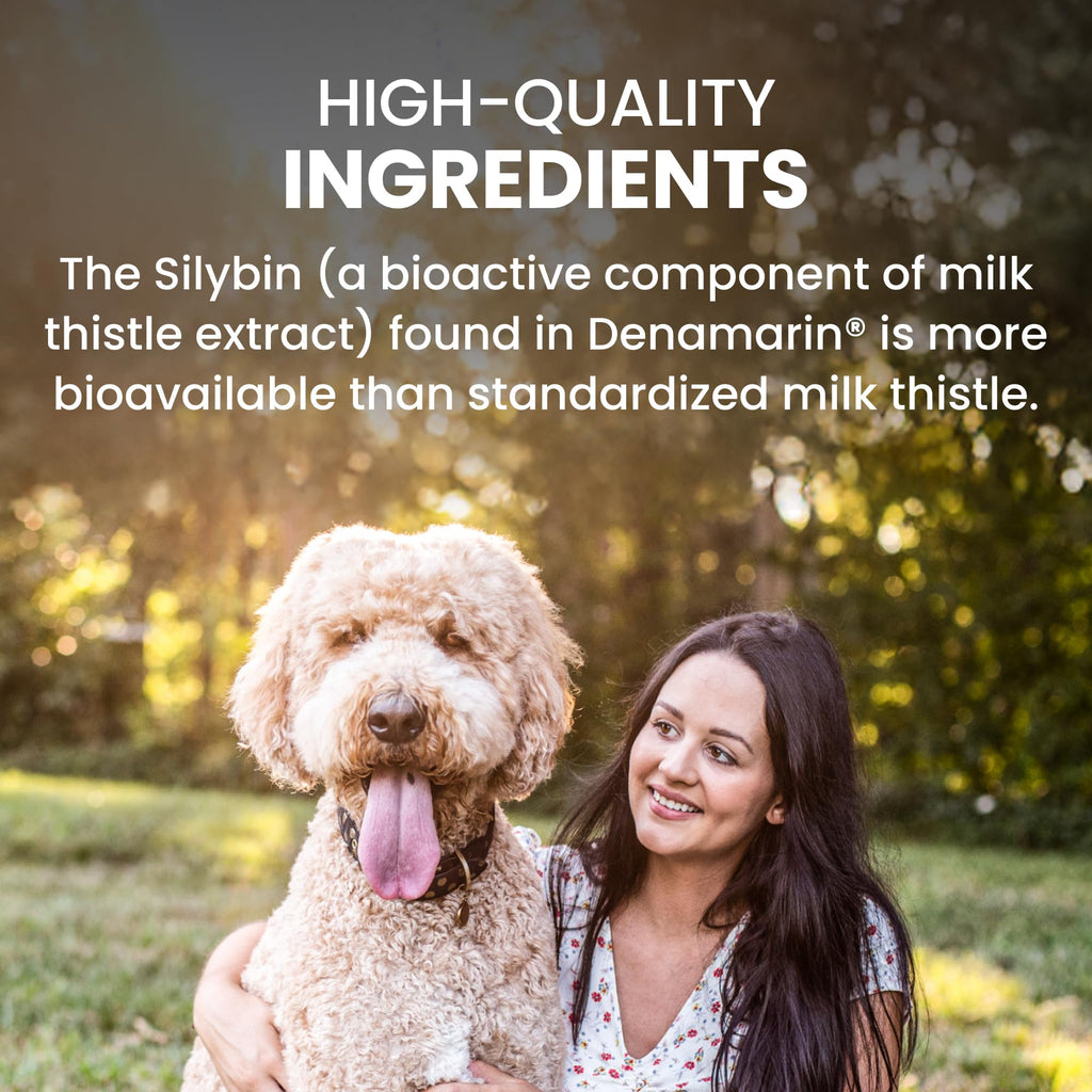 Large Dog Liver Health Supplement Coated Tablets 30 Count Pack of 2 R808