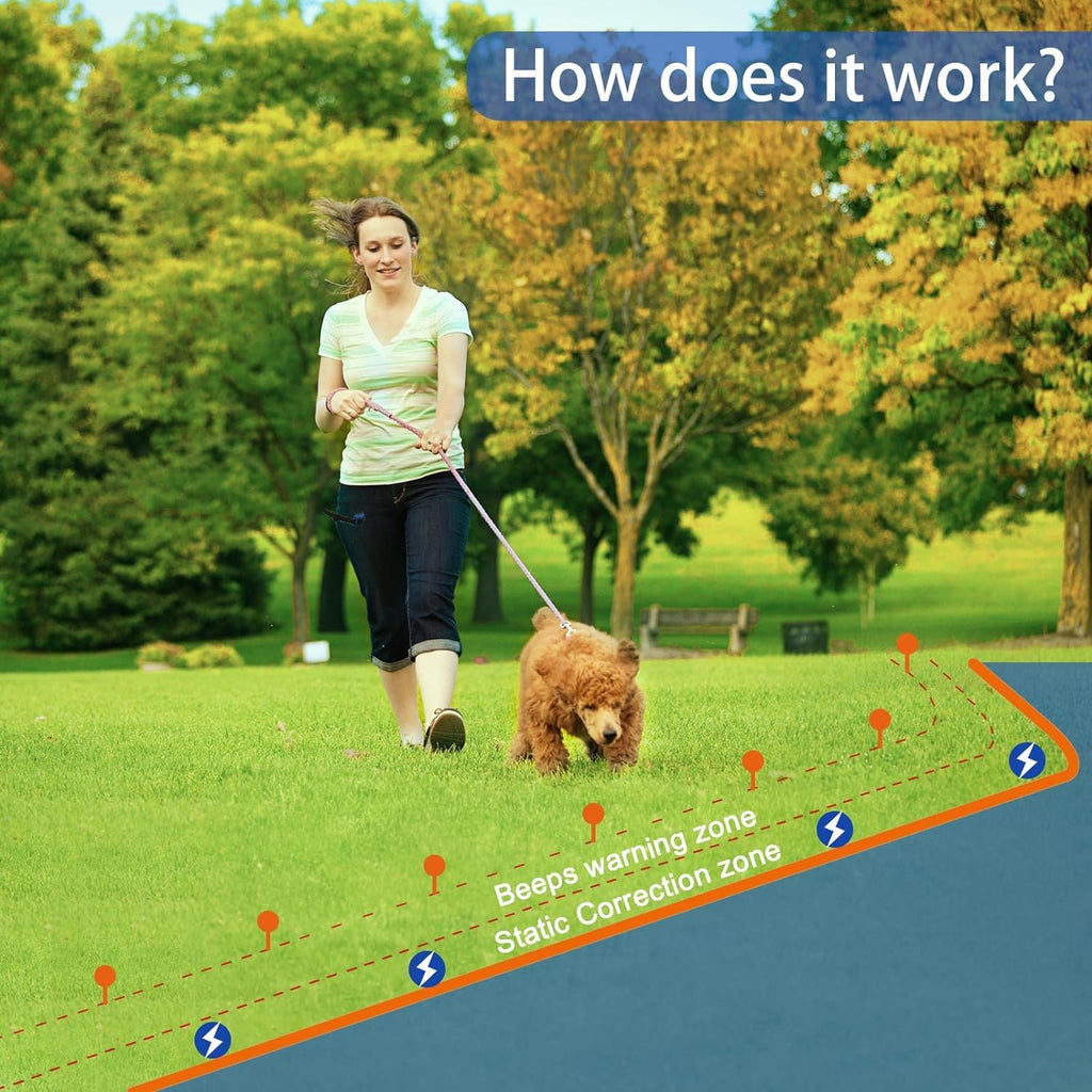 In-Ground Electric Dog Fence System with 2 Collars Y659