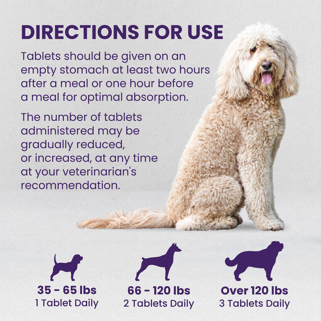 Large Dog Liver Health Supplement Coated Tablets 30 Count Pack of 2 R808