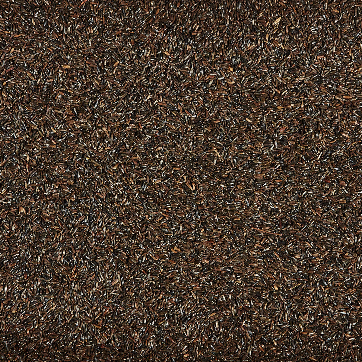 Nyjer Seed for Finches & Other Wild Birds, 20 Pounds T1967